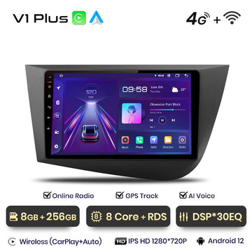 V1 Plus (8 GB 256 GB)