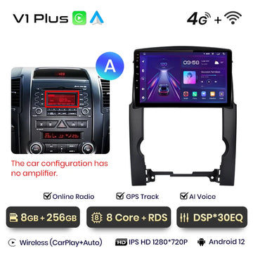 V1 Plus (8GB 256GB)A
